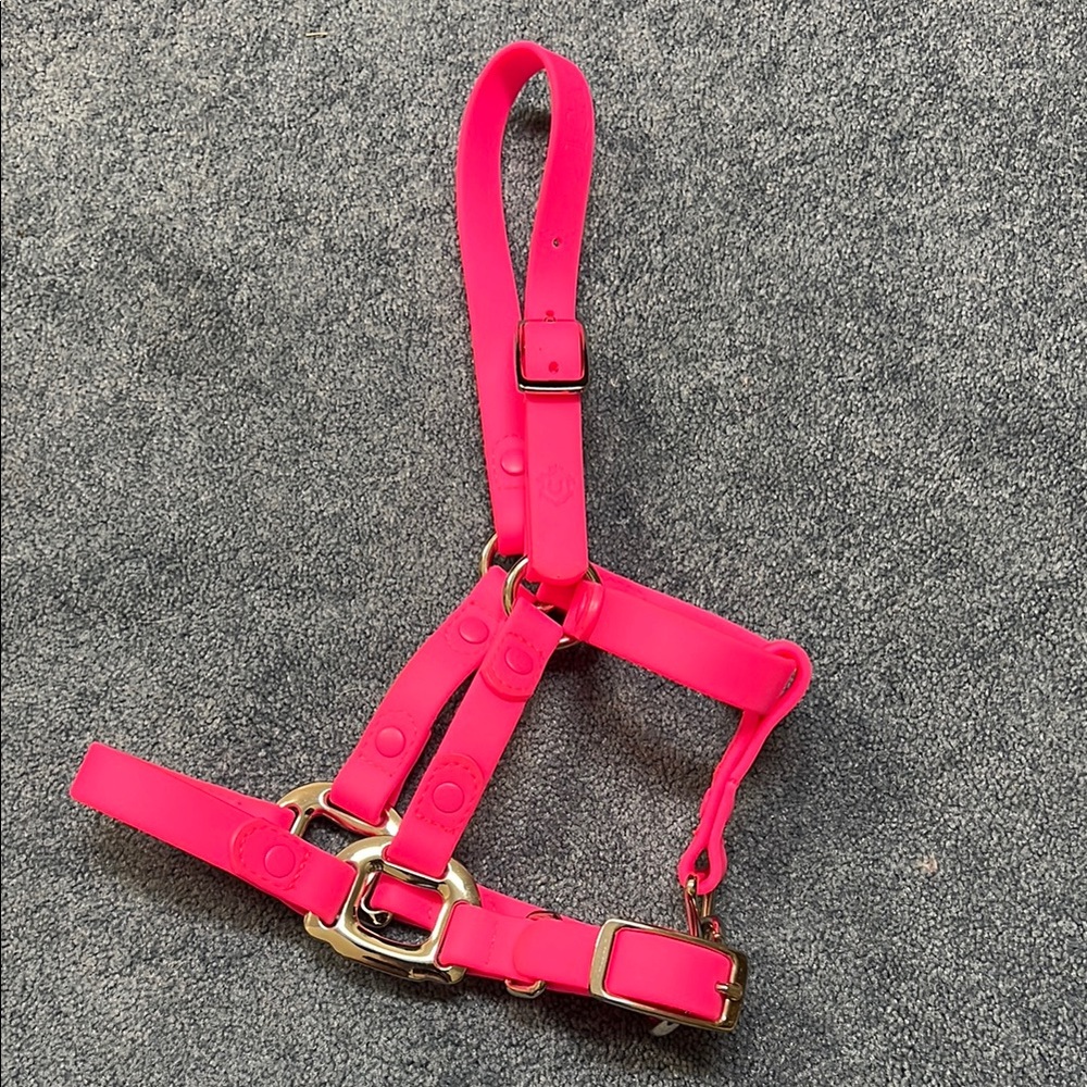 Barbie Pink Idoggos Mini Halter